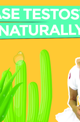 TRC PLAYLIST_YT_1-10